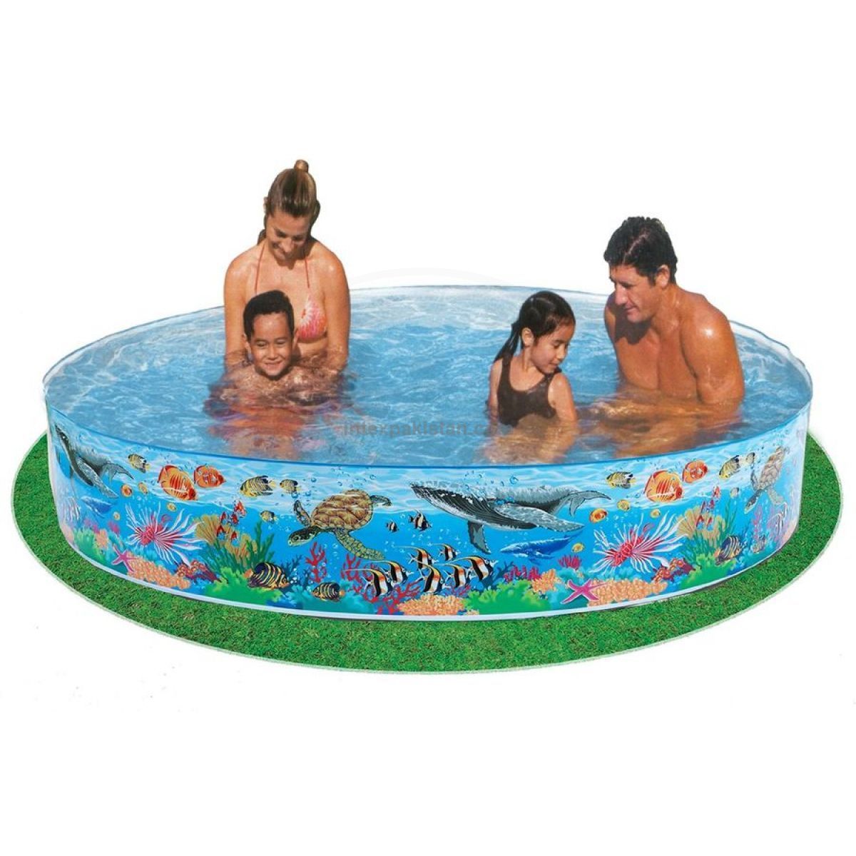 INTEX Coral Reef Snapset Pool (8' x 1'0.5 ft)