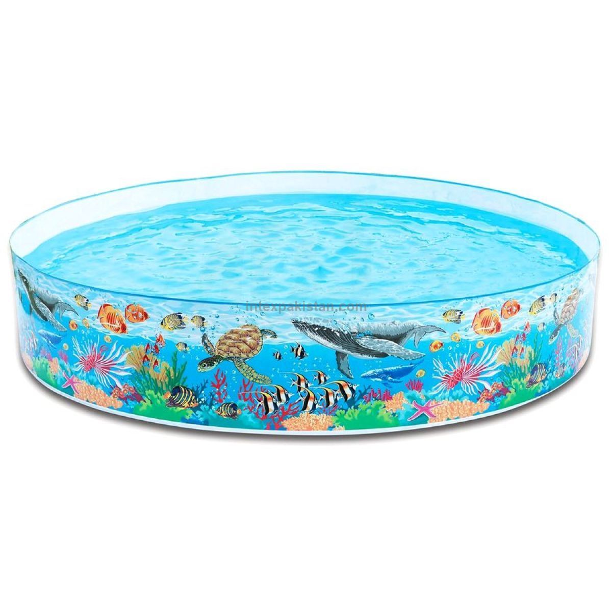 INTEX Coral Reef Snapset Pool (8' x 1'0.5 ft)