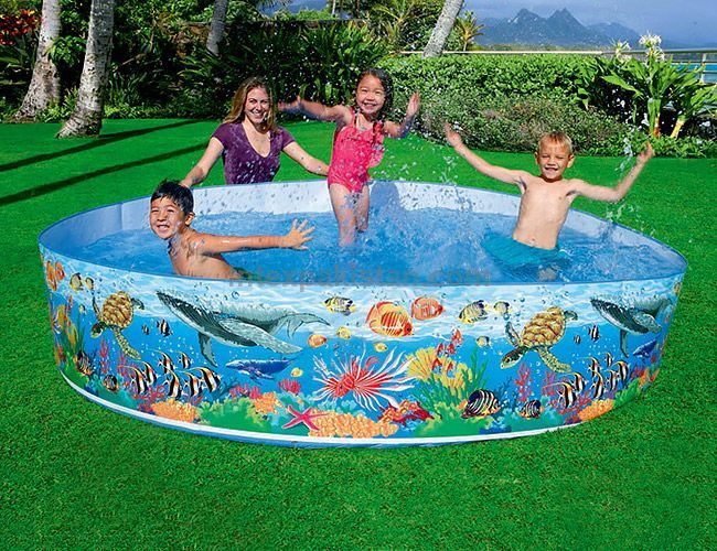 INTEX Coral Reef Snapset Pool (8' x 1'0.5 ft)